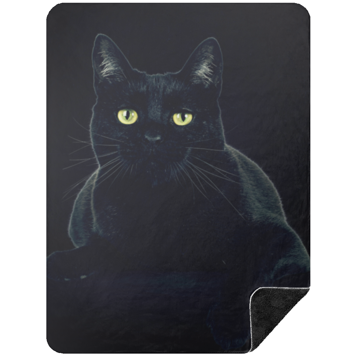 Black Cat Blanket| Halloween Gift