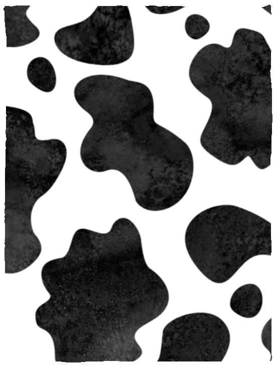 Cow Print Classic Black & White Blanket