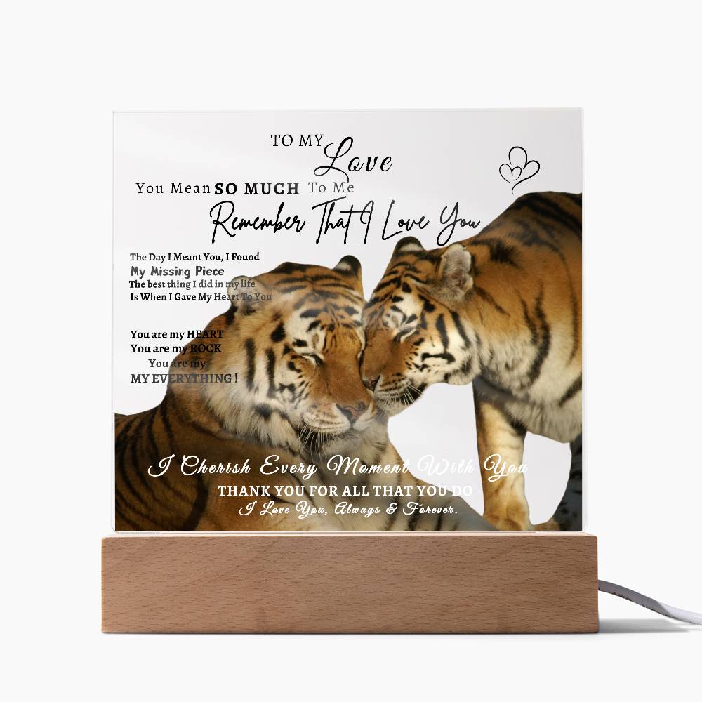 Acrylic Square LED Plaque - Remember That I love - Affectionate Tiger Couple- To My Love