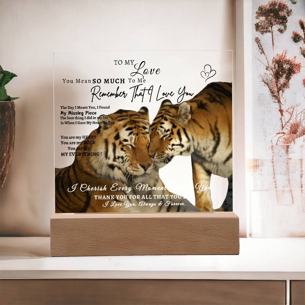 Acrylic Square LED Plaque - Remember That I love - Affectionate Tiger Couple- To My Love